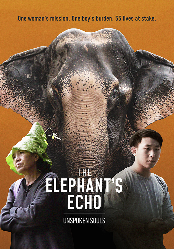 The Elephant's Echo